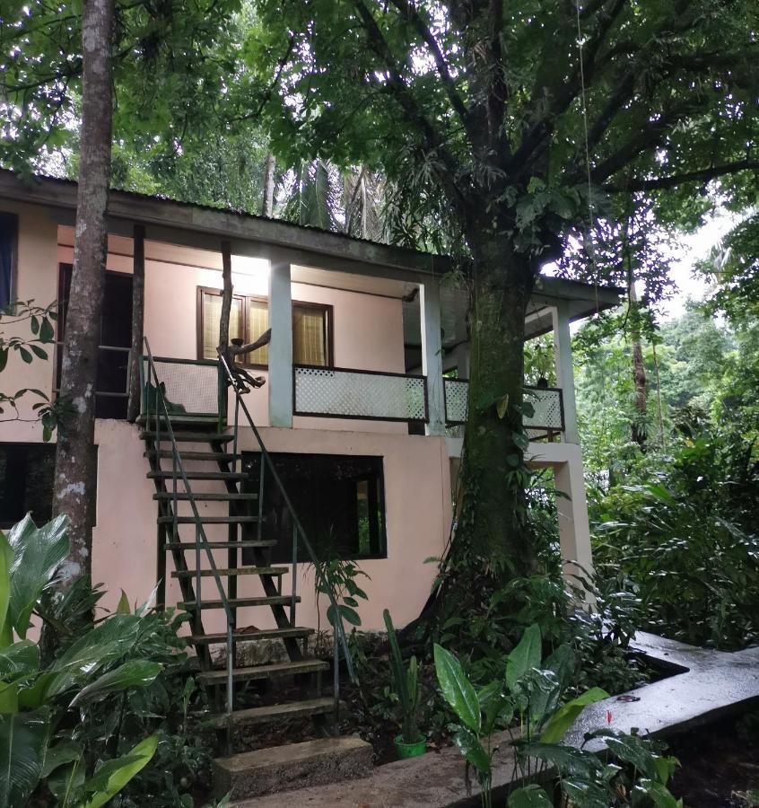 Casa Jaguar Villa Tortuguero Exterior photo