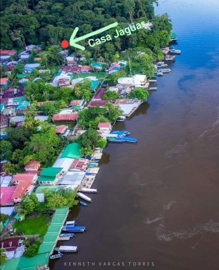 Casa Jaguar Villa Tortuguero Exterior photo