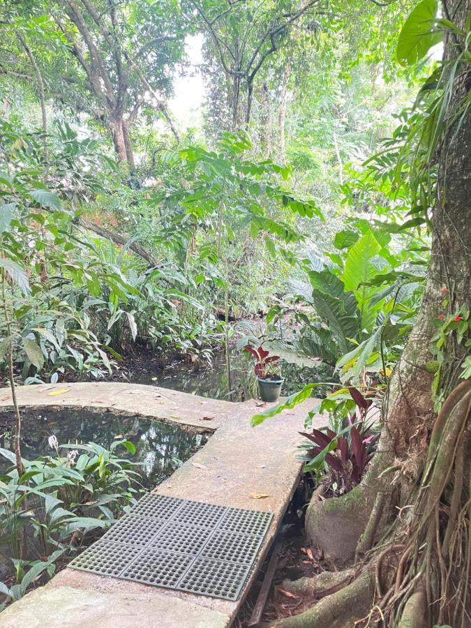 Casa Jaguar Villa Tortuguero Exterior photo